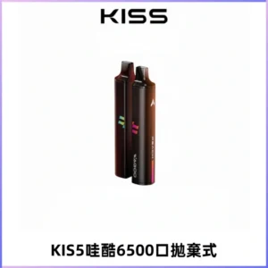KIS5WAGOO哇酷6500口拋棄式 | 自由混搭雙口味 | 雙芯組合